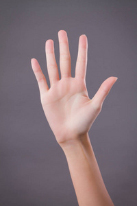 手显示，向上 5 个手指，数五个手势