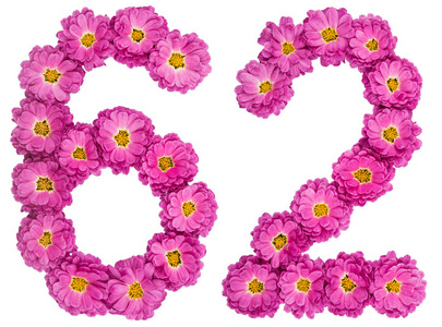 阿拉伯数字 62, 六十二, 菊花花, iso照片
