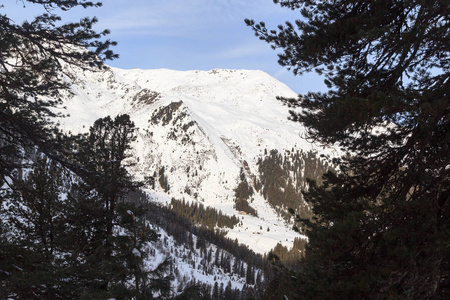 山全景，洛尔阿尔卑斯山，奥地利冬季的雪，树和蓝天