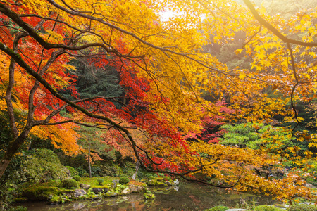 京都秋季 Coloful 季红枫园 Nanzen冀寺关西旅游日本