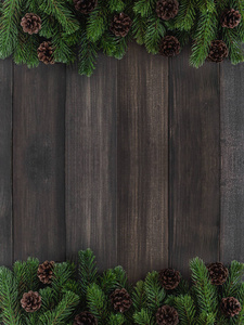 圣诞枞树树枝和松树上暗仿古木制黑色