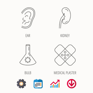 实验室灯泡 医疗石膏和耳朵图标