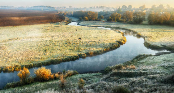 秋天的早晨。有雾的黎明在风景如画的河边