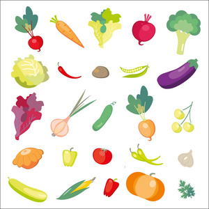 新鲜蔬菜的图标。矢量插图