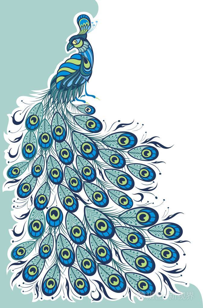 插画 蓝孔雀海报, t-shirt 设计.矢量背景.eps