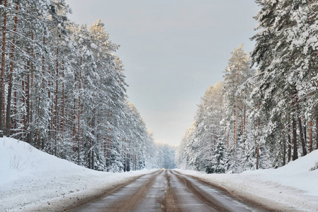 在冬天的森林公路
