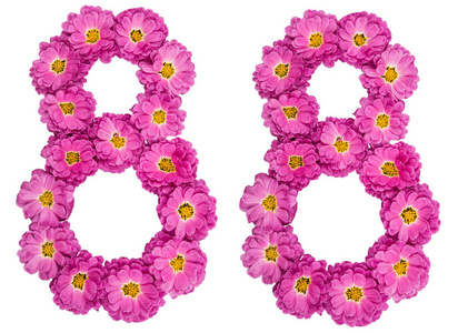 阿拉伯数字 88, 八十八, 菊花花照片