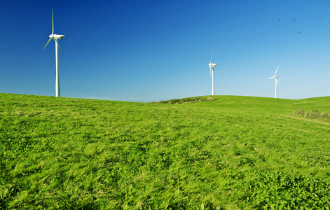 风力涡轮机在一个绿色的领域。绿色能源