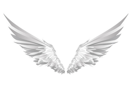 黑色和白色的翅膀图片