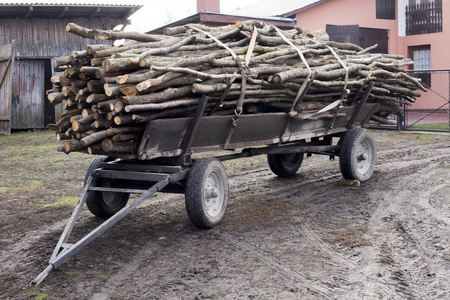 拖车在波兰农村生活的老农民车切碎的火木照片