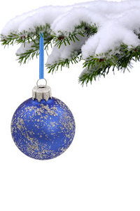 圣诞节常绿云杉树和蓝色玻璃球图片