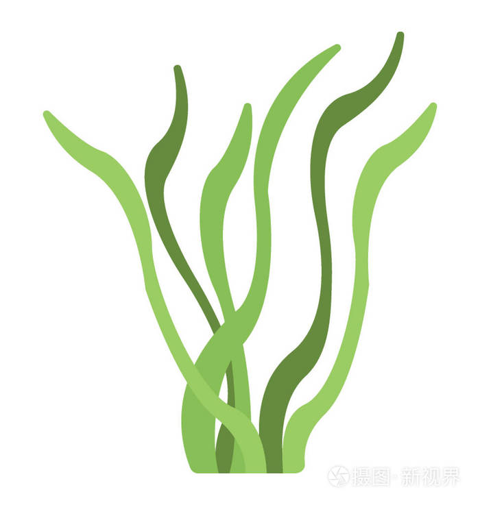 海洋植物海藻的平面矢量图标