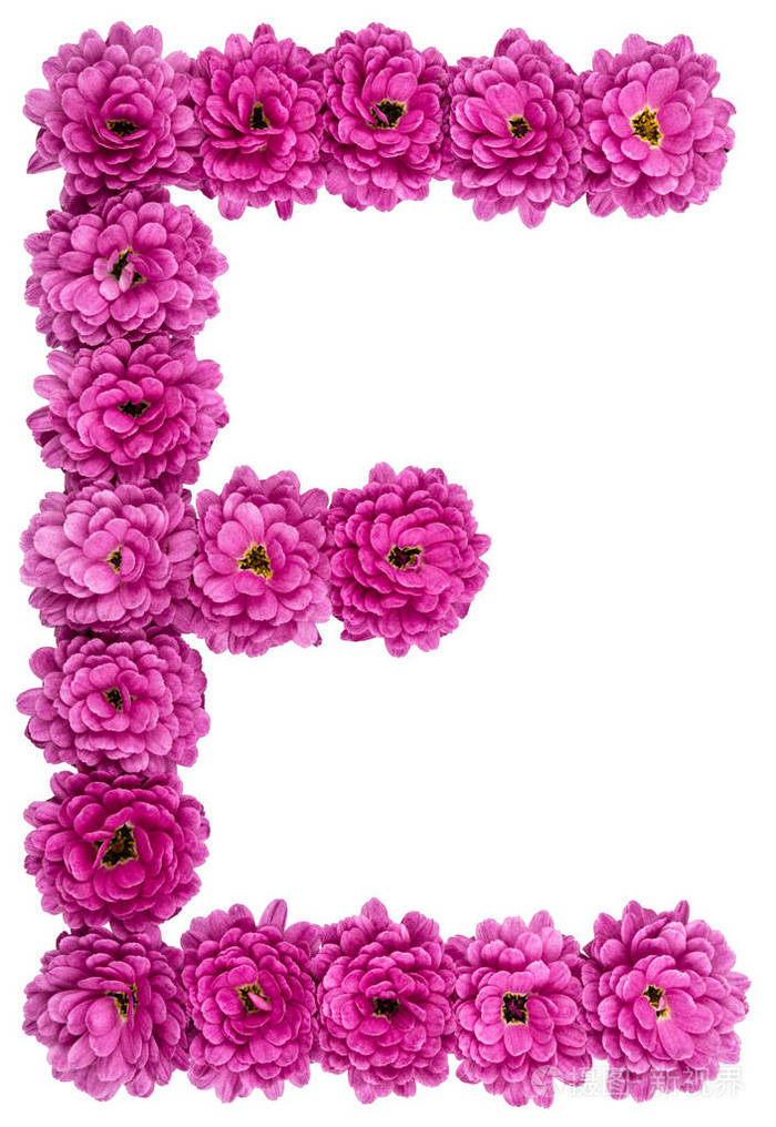 字母e菊花花的字母孤立在