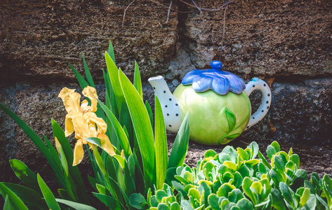 老水壶和英国春天庭院图片