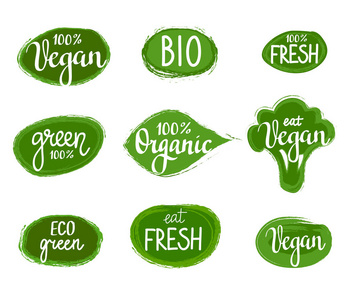 矢量刻字生态绿色自然有机素食徽章套装
