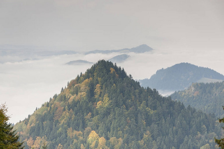 山风景Pieniny, 波兰