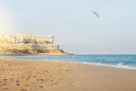 一个度假酒店在海边的建筑, 海鸥和