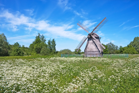 风车闲置着,水库外长满了荆棘树和灌木丛在草原上的风车草坪上草原上