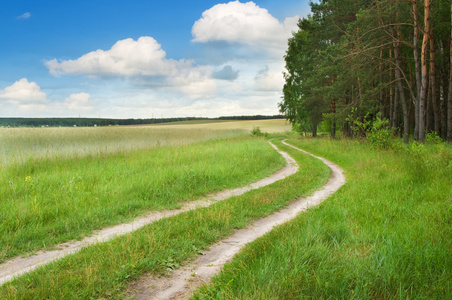 木材的牧场图片