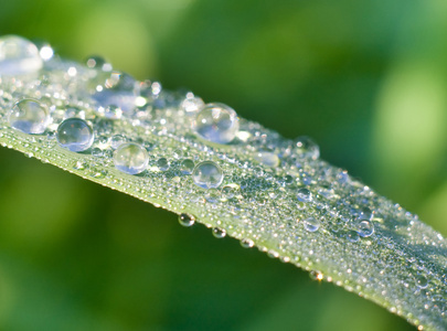 雨滴的宏观。