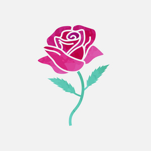 水彩玫瑰的插图