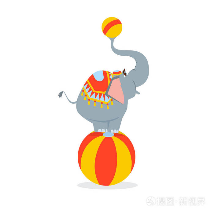 马戏团的大象站在一个大球并举行一个小球在后备箱