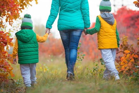母亲和两个儿子在秋季公园牵手散步