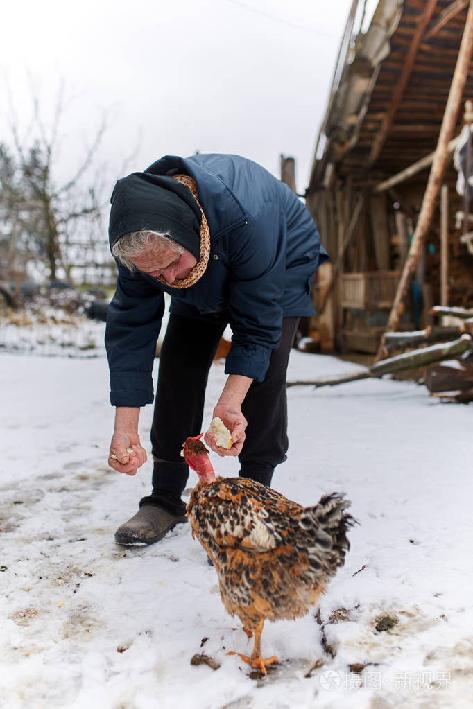 喂鸡的老农夫妇女