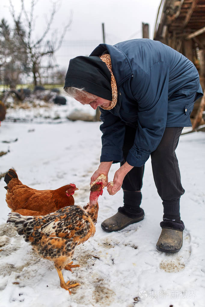 喂鸡的老农夫妇女