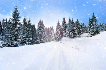 仙女的冬季景观与冷杉树和降雪。圣诞 gr