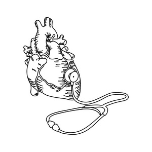 人的心脏与听诊器矢量插图轮廓素描手绘制的黑色线隔离在白色背景。医疗理念