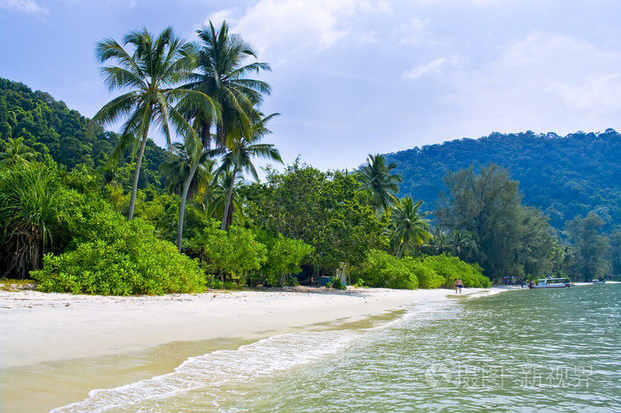 热带海滩，椰子棕榈树