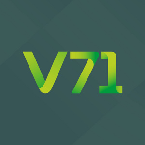 V71 字母和数字号码徽标图标