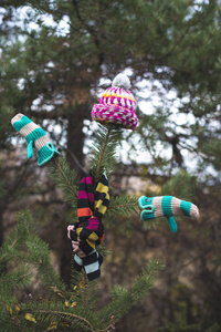 冬天的帽子, 围巾和手套在树上