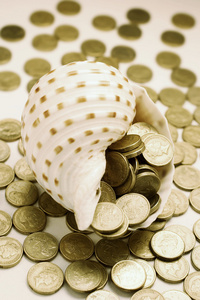 海螺和硬币图片