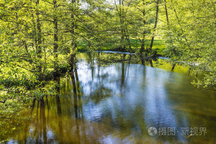 小河 hafenlohr 流经茂密的野生森林