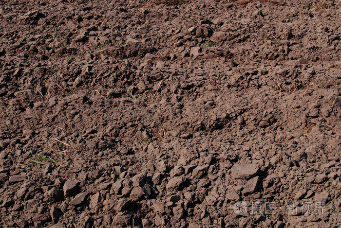 新鲜土壤背景特写照片-正版商用图片03f0xb-摄图新视界