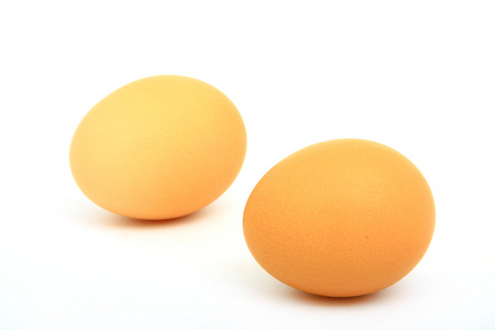 galinha的卵