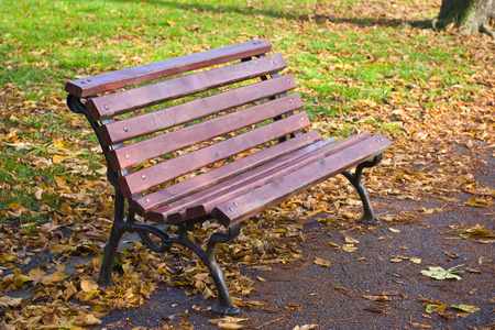秋天公园里的长凳
