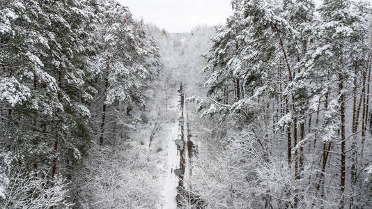 雪覆盖乡间小路的景观