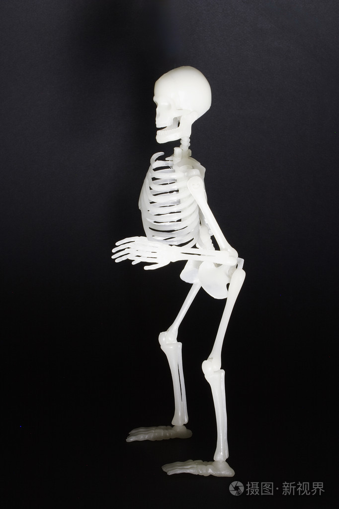 建筑物等的骨架骨骼梗概骨瘦如柴的人或动物