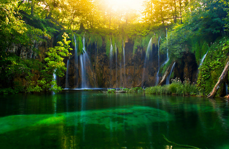 plvice