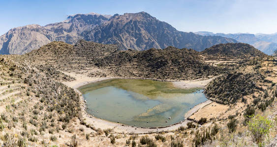 Colca 峡谷全景图, 秘鲁, 南美洲与耕作梯田