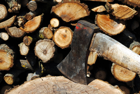 木制树干上的铁斧子，背景上木头原木
