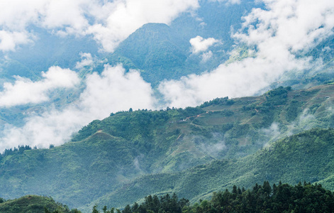 景观图的水稻梯田和美丽的山脉和雾