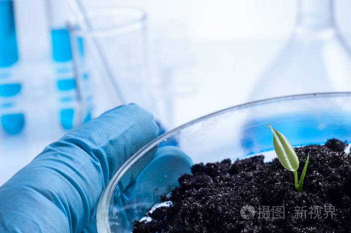 生态学, 研究和人的概念 —— 关闭的科学家手里捧着培养皿与植物和