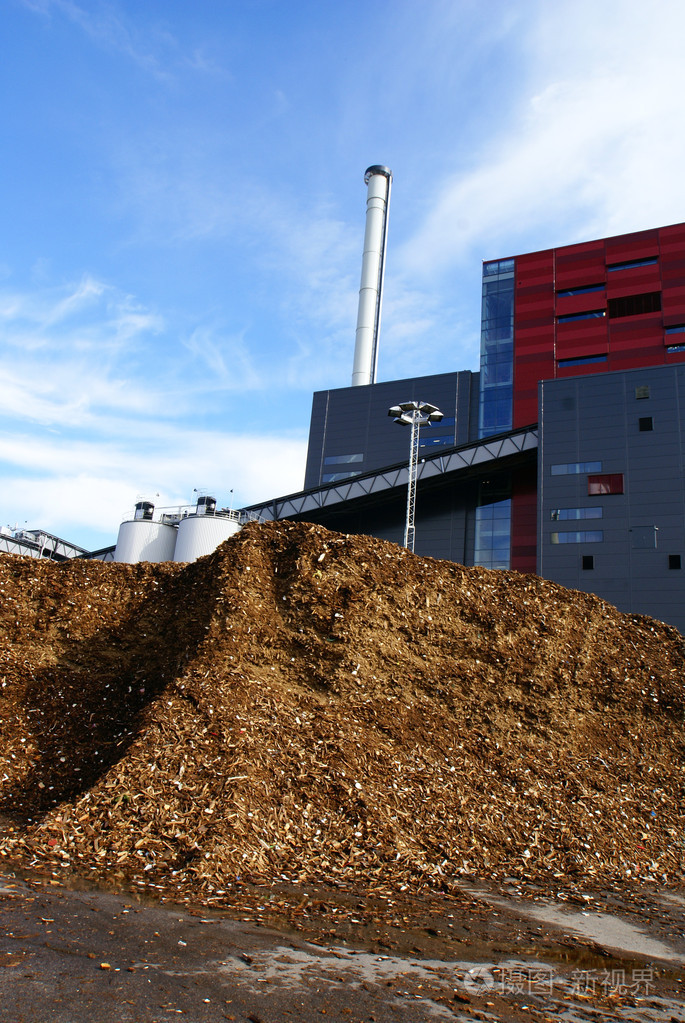 生物燃料发电厂