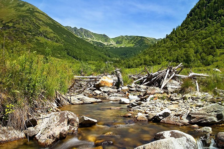 斯洛伐克 Ziarska 河谷中部山区的石头