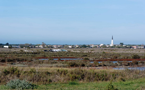 海岛沼泽