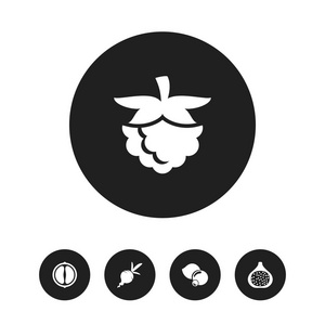 5 可编辑蔬菜图标集。包括符号越桔 萝卜 橙片等。可用于 Web 移动 Ui 和数据图表设计